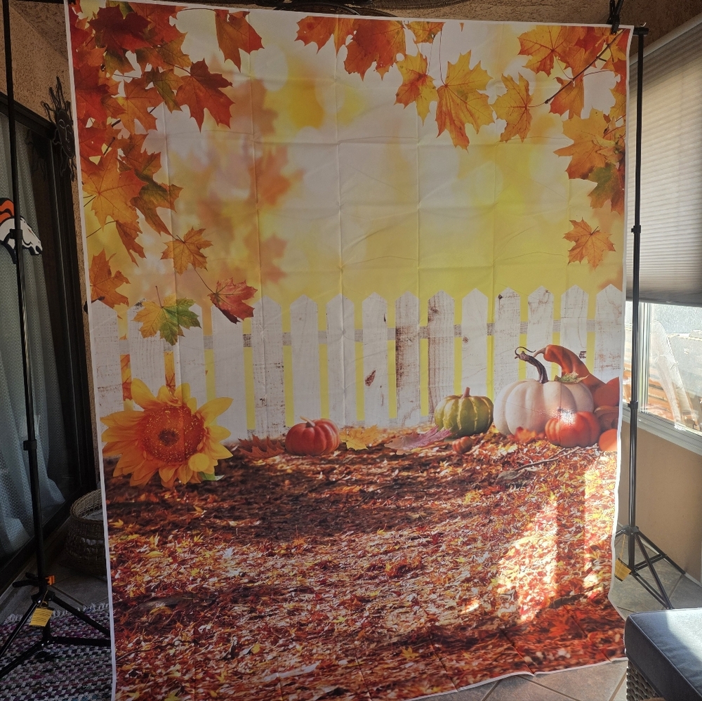 Autumn Harvest Backdrop with Pumpkins and Leaves